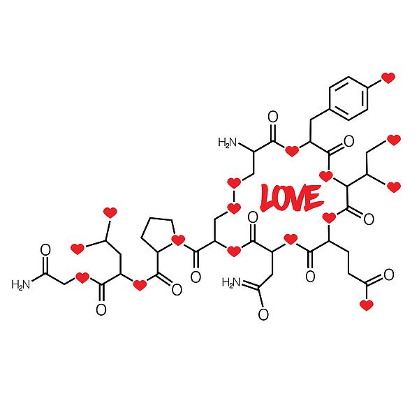 Protegido: La Química de las emociones.